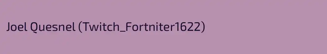 Joel Quesnel (Twitch_Fortniter1622)